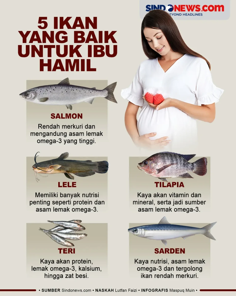 5 Ikan yang Baik untuk...