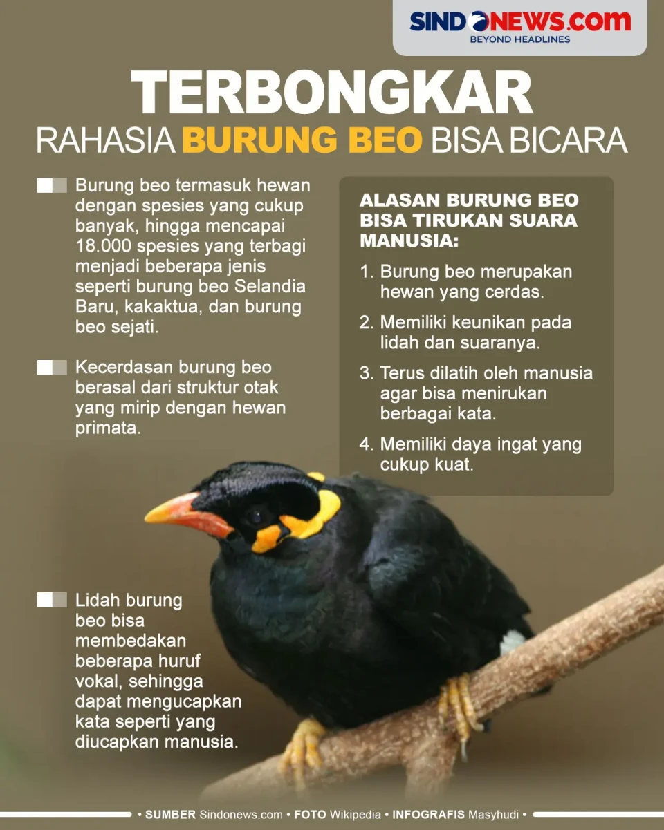 Terbongkar, Rahasia...