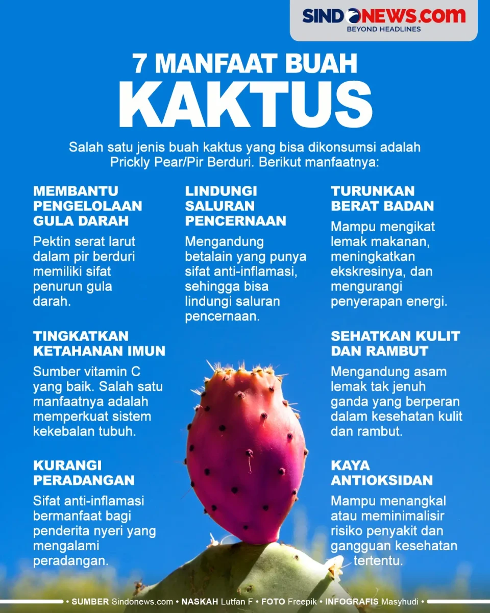 7 Manfaat Buah Kaktus,...