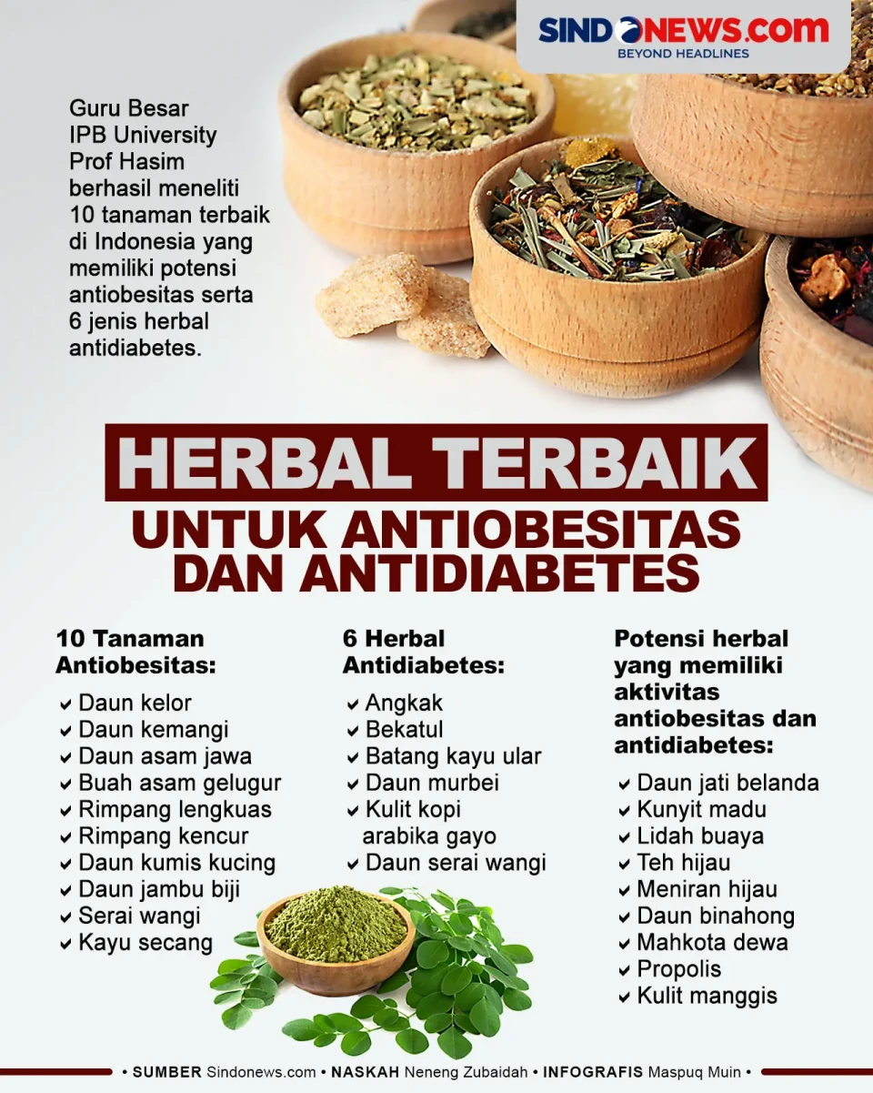 Herbal Terbaik untuk...