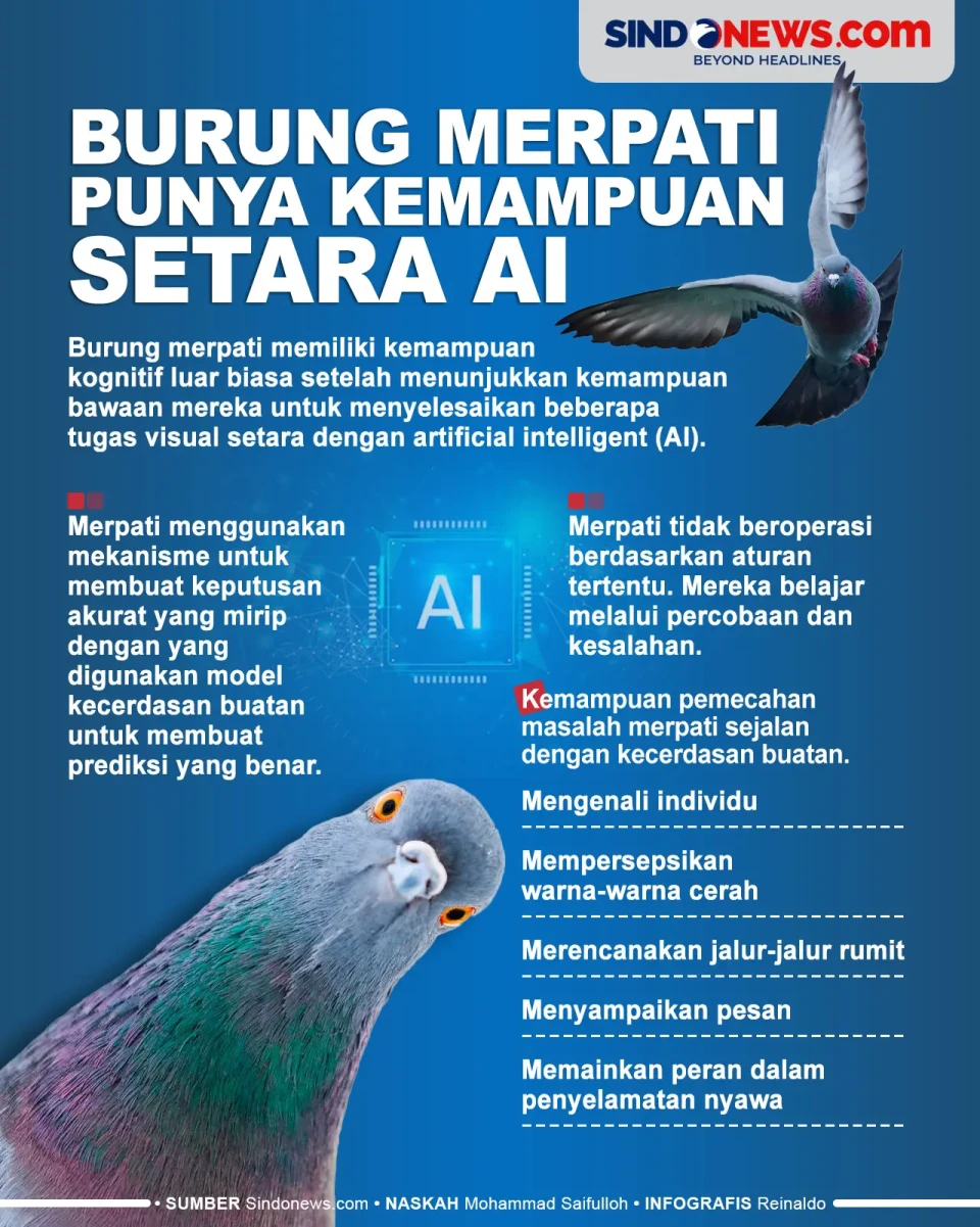 Dari Lahir, Burung Merpati...