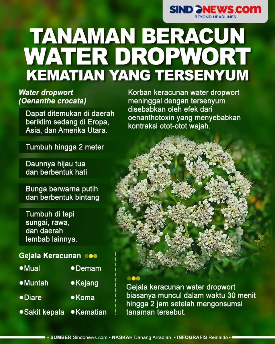 Tanaman Beracun Water...