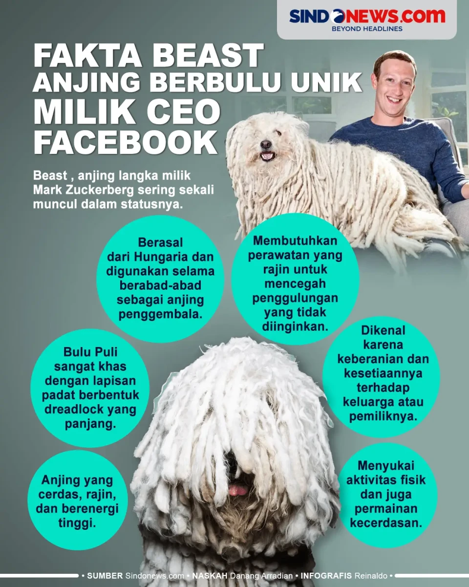 Fakta Menarik Beast,...