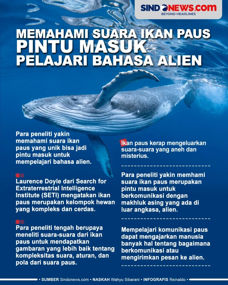 Memahami Suara Ikan...
