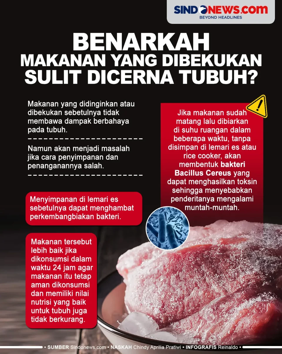Makanan yang Dibekukan...