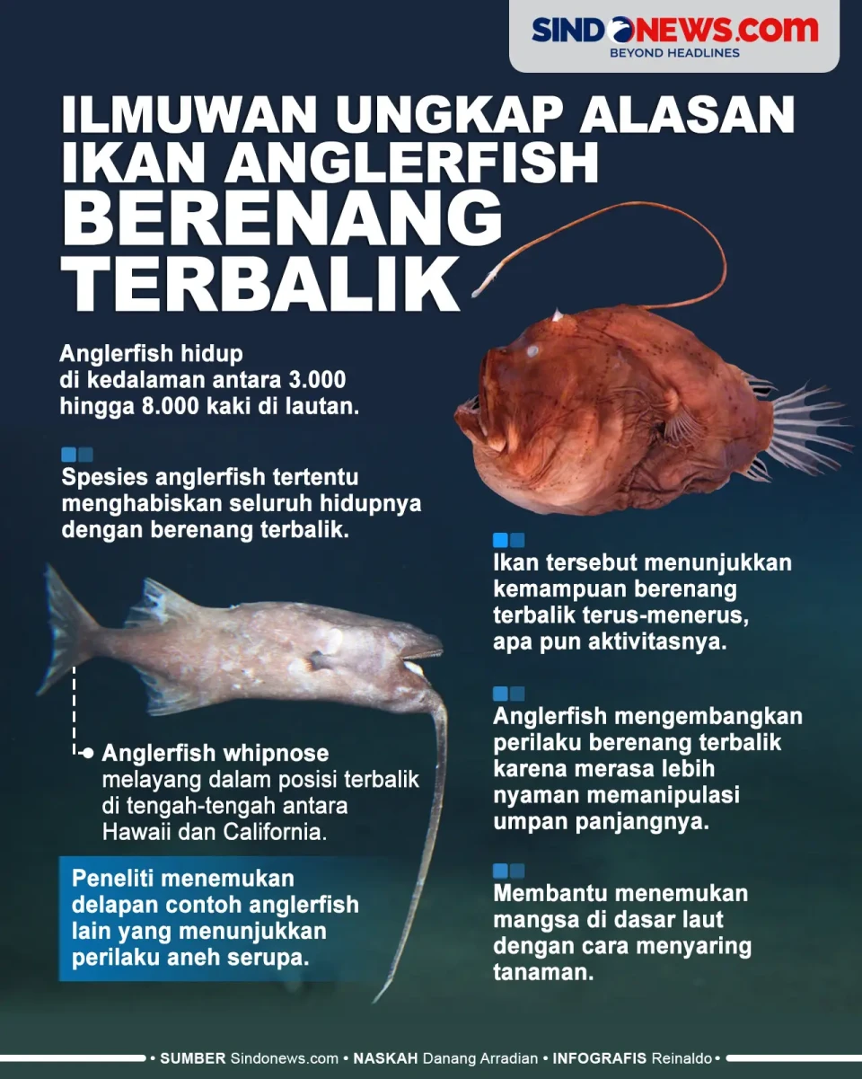 Ilmuwan Ungkap Alasan...