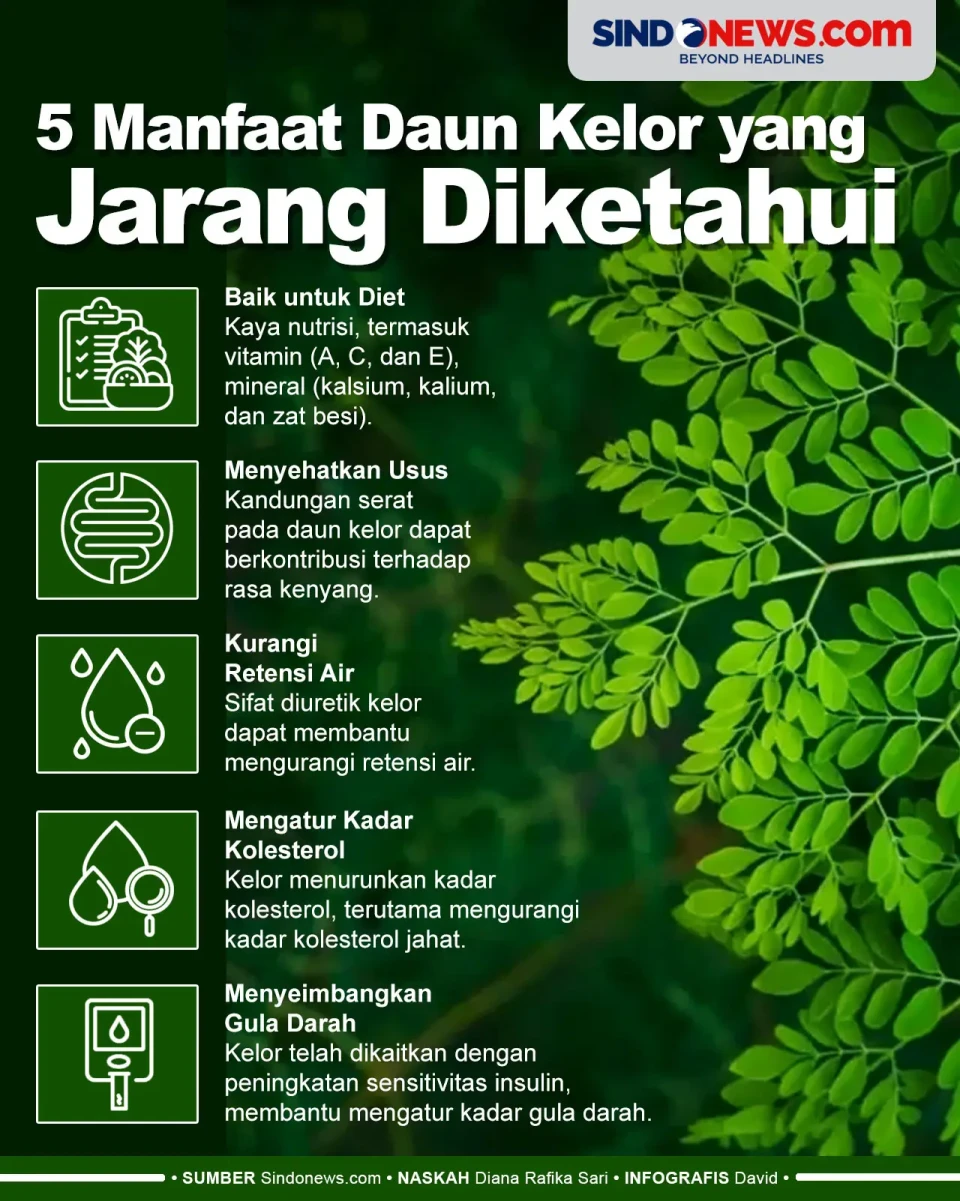 Kaya Nutrisi, Berikut...