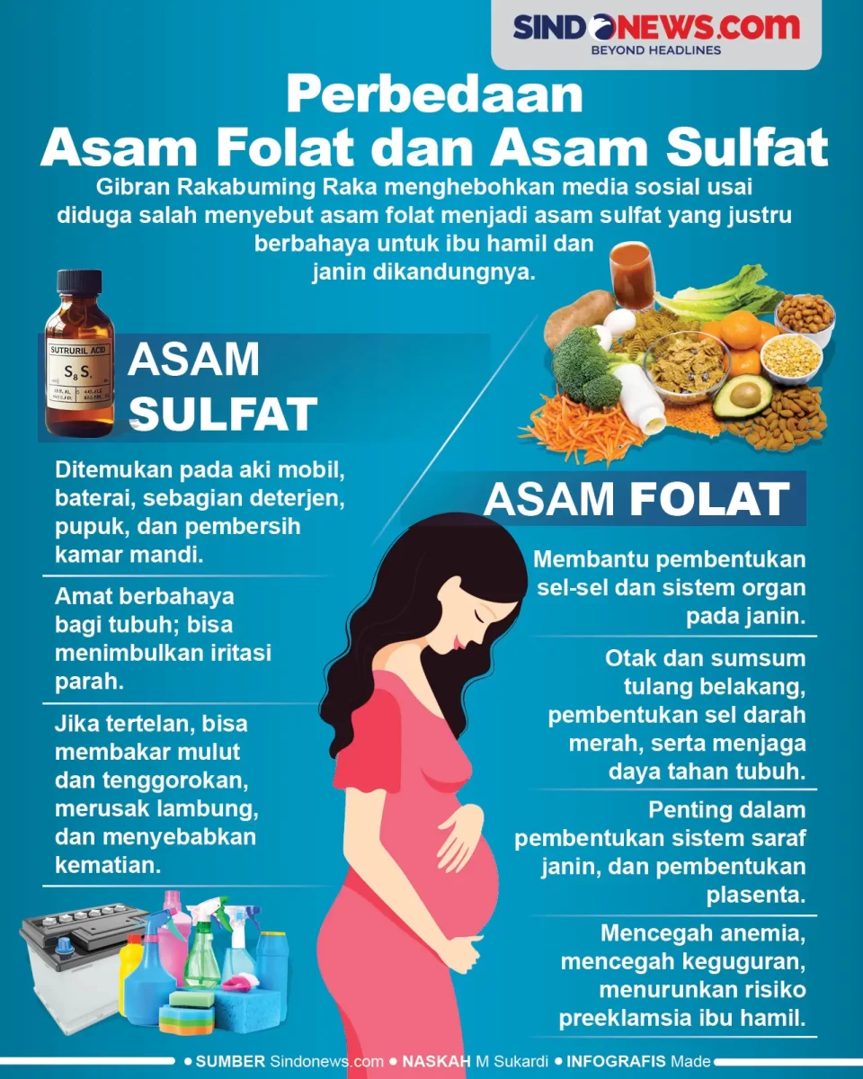Perbedaan Asam Folat...