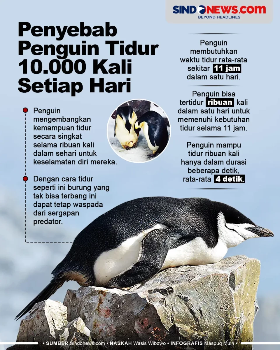 Penyebab Penguin Bisa...