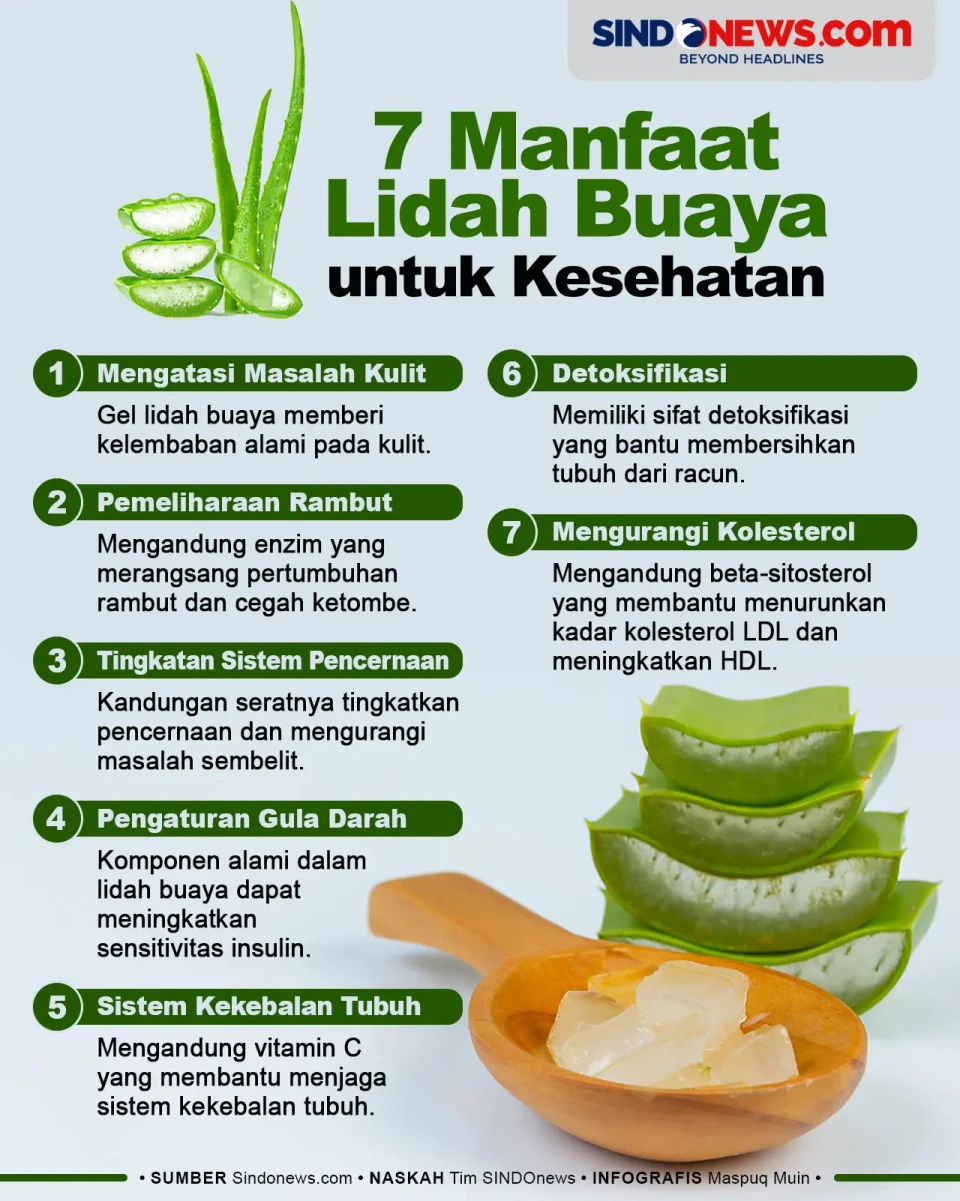 7 Manfaat Lidah Buaya...