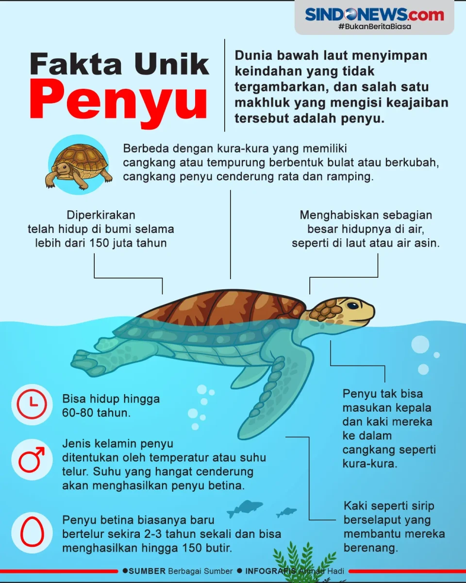 Fakta-Fakta Menarik...