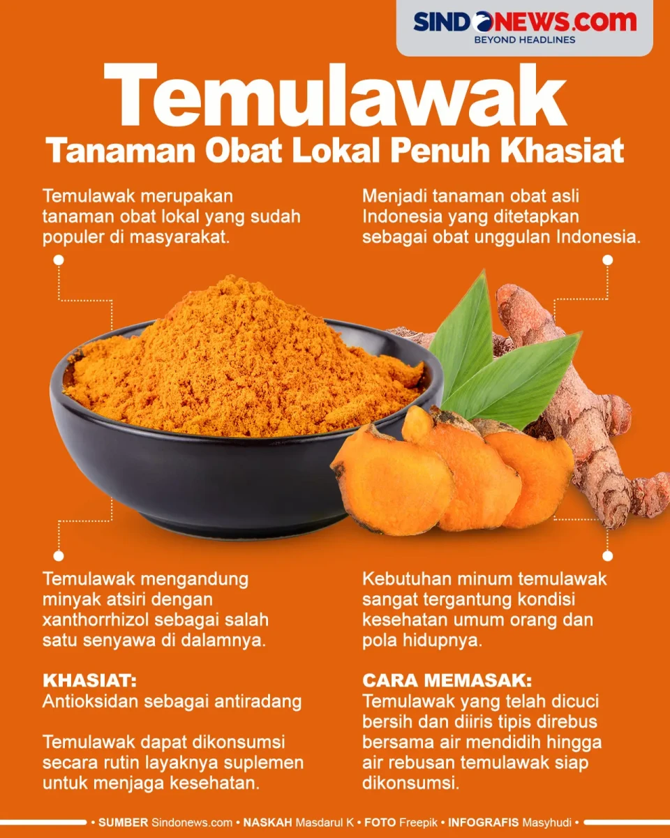 Temulawak, Tanaman Obat...