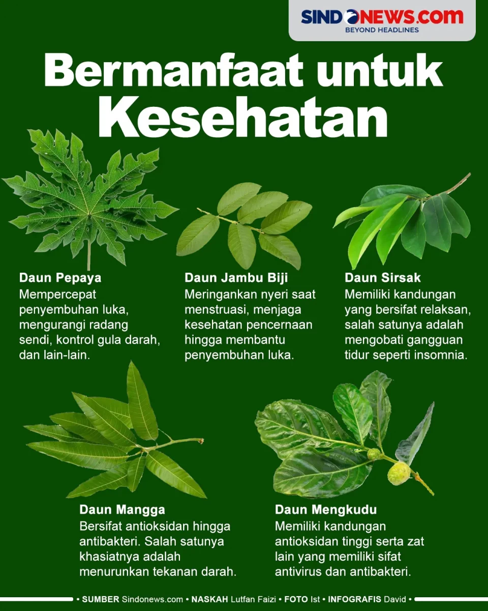 5 Buah yang Daunnya...