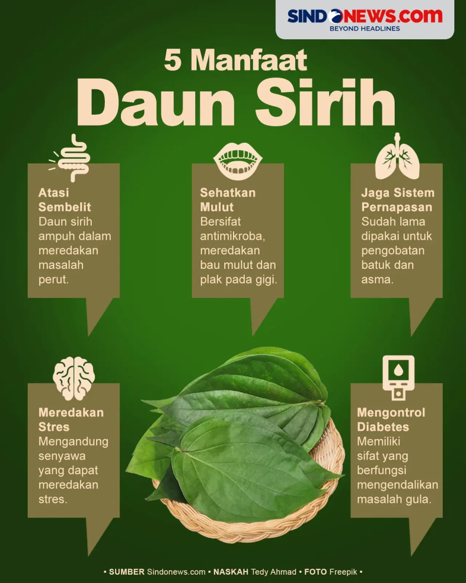 5 Manfaat Daun Sirih,...