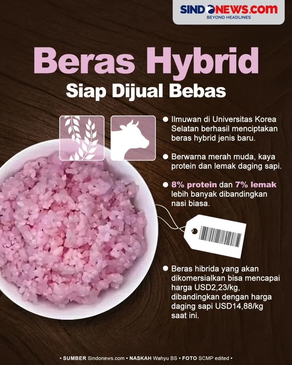 Beras Hybrid yang Diciptakan...