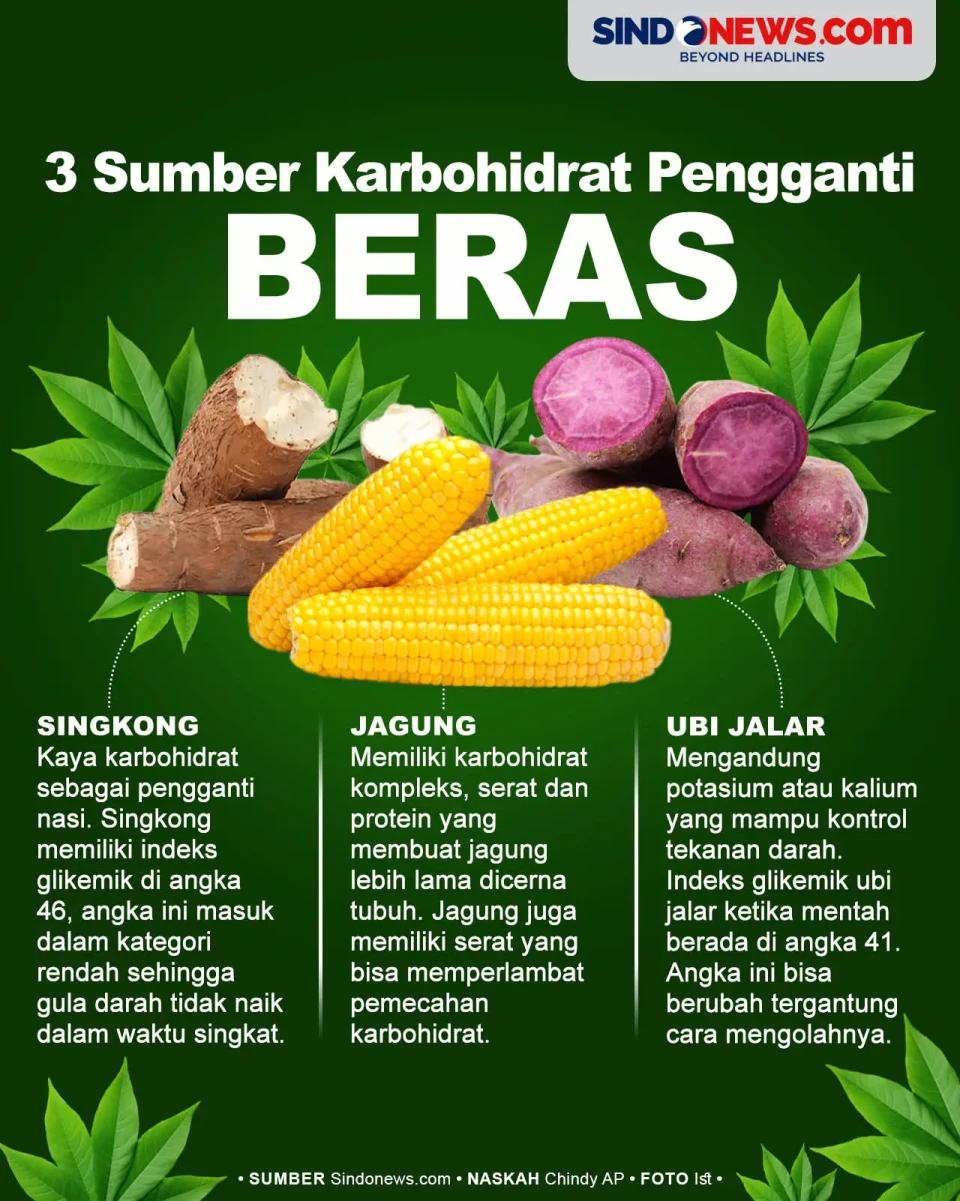 3 Sumber Karbohidrat...