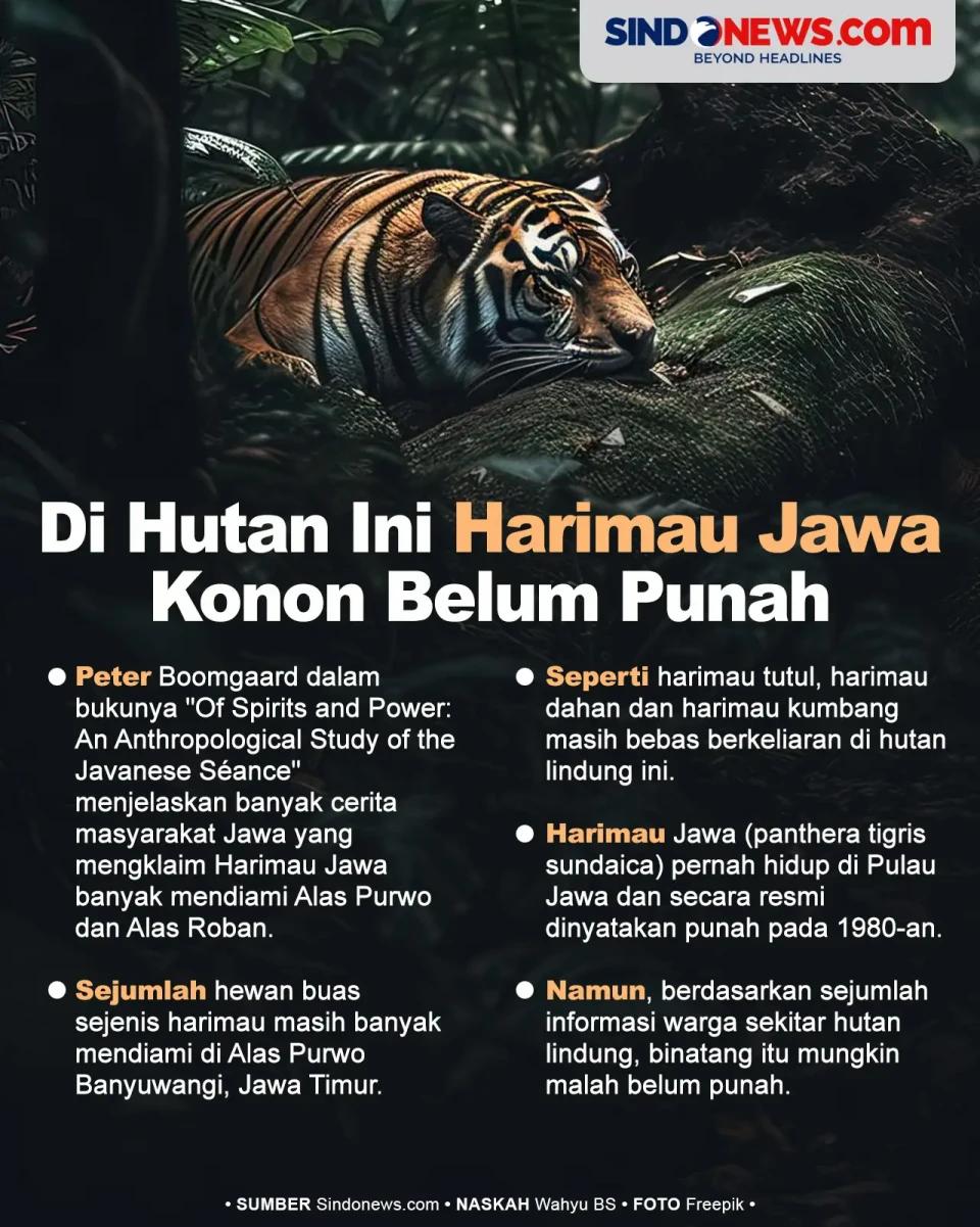 Di Hutan Angker Ini...