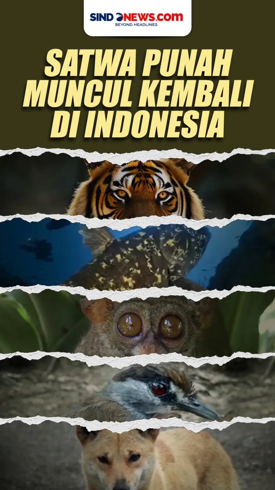 Satwa-satwa yang Dianggap...