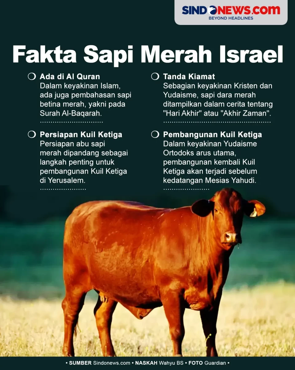 Membuat Dunia Ketakutan,...