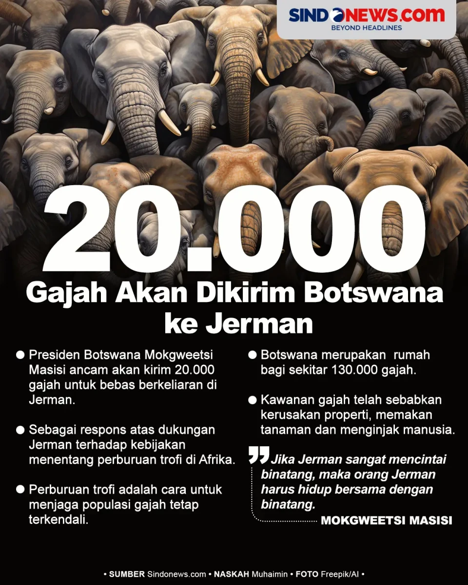 20.000 Gajah Akan Dikirim...
