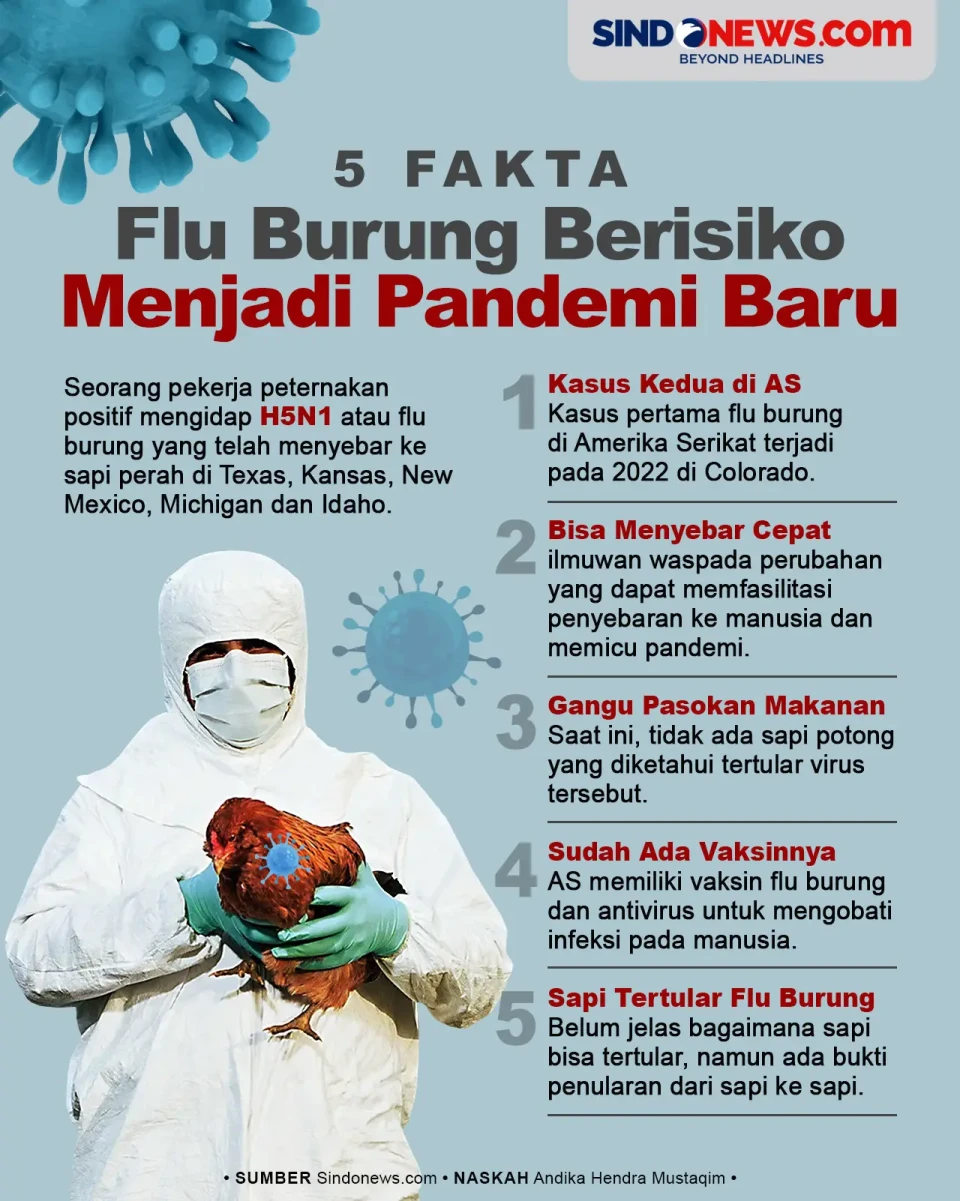 5 Fakta Flu Burung yang...