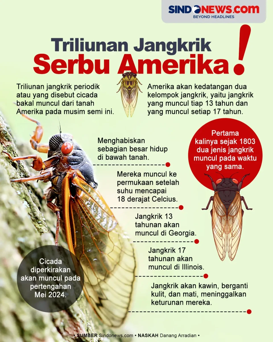 Ngeri, Triliunan Jangkrik...