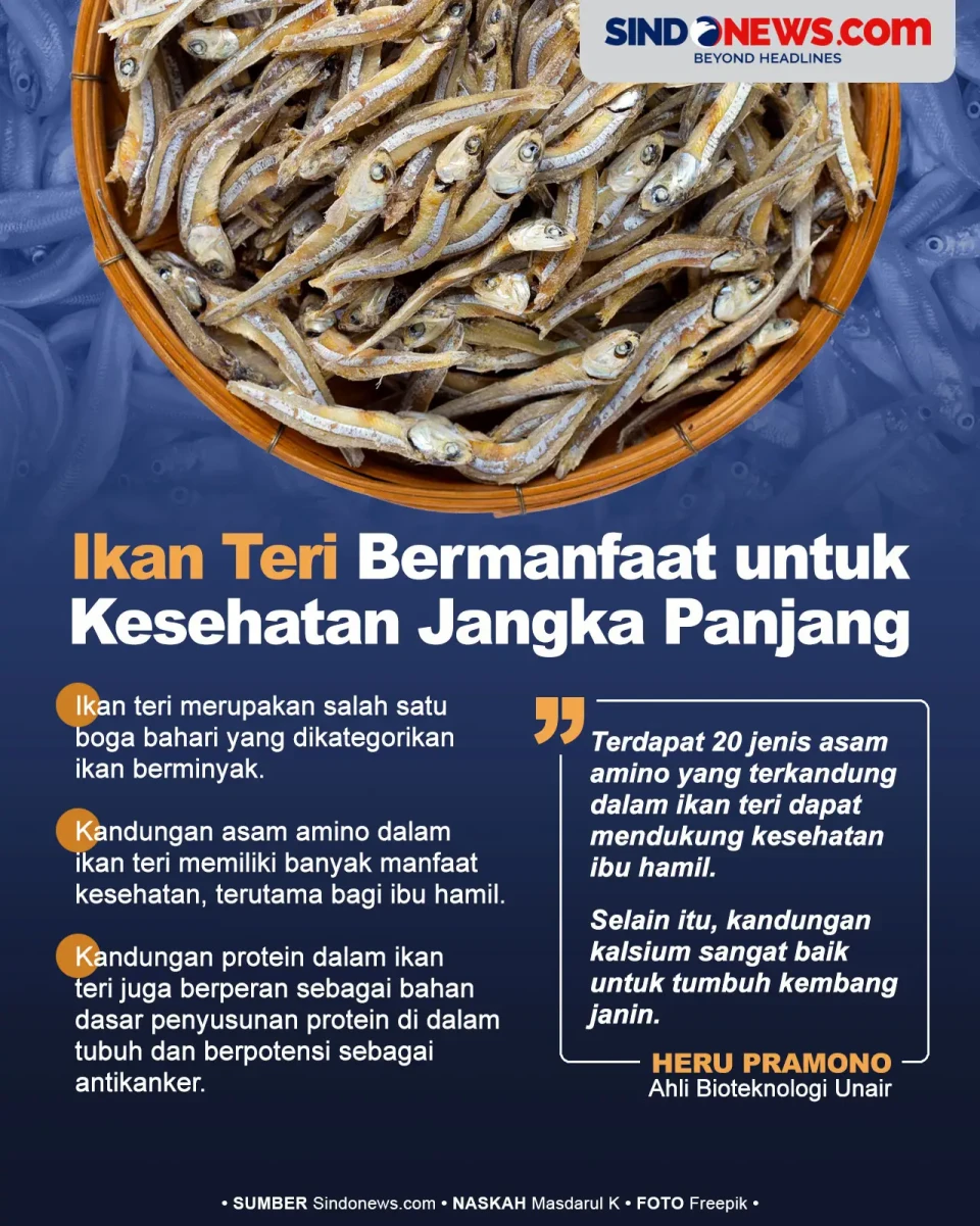 Ikan Teri Bermanfaat...