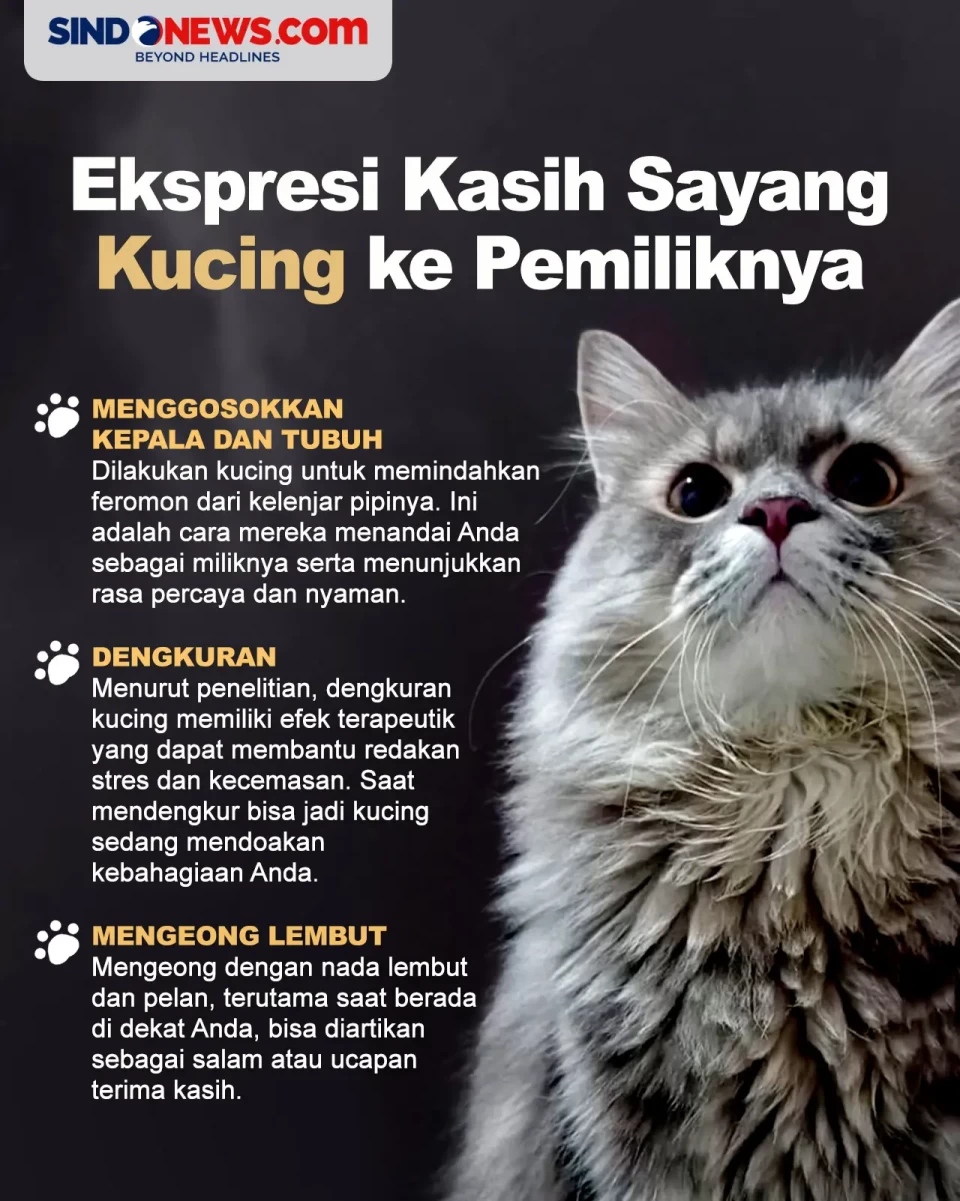 Ekspresi Kasih Sayang...