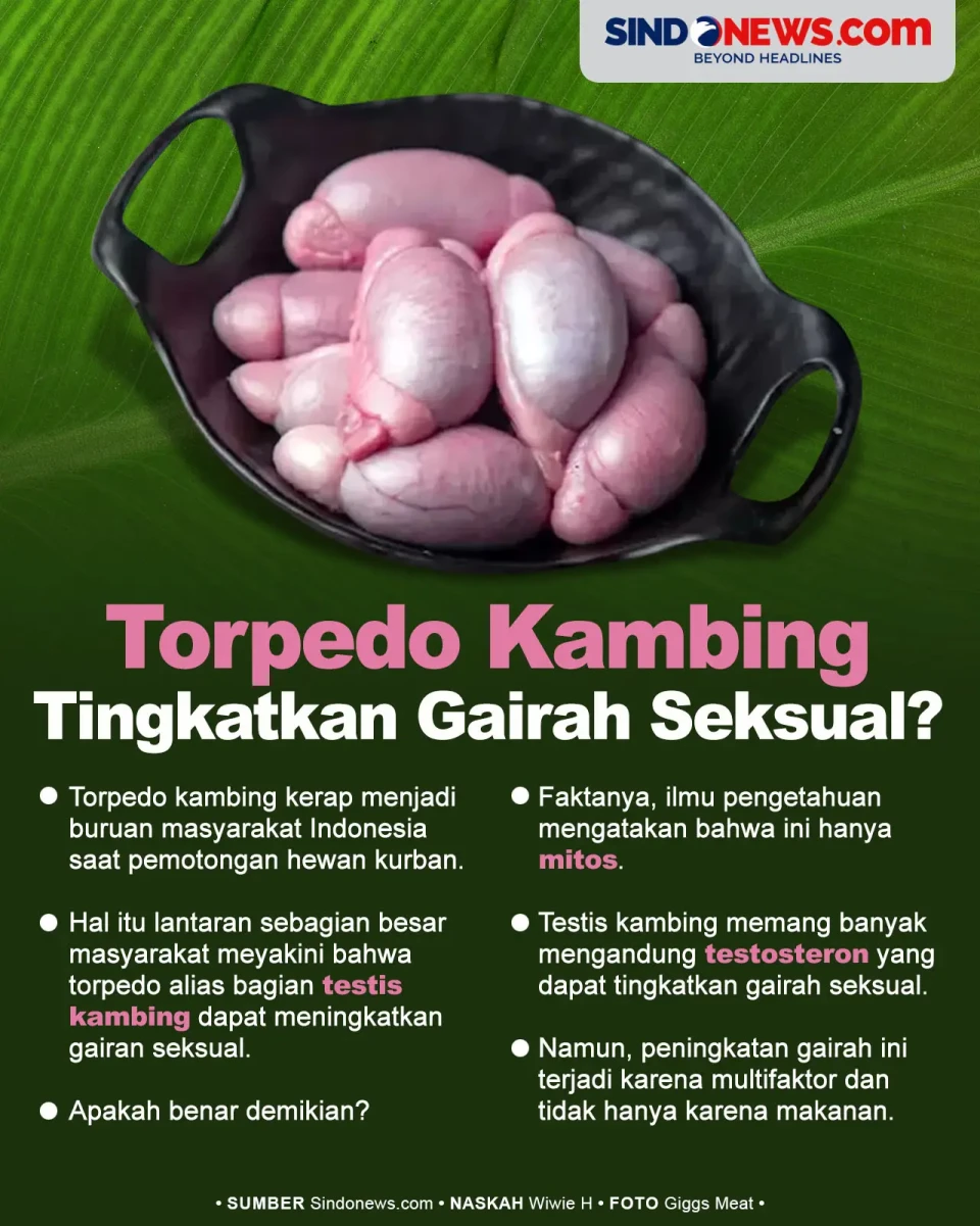 Benarkah Torpedo Kambing...