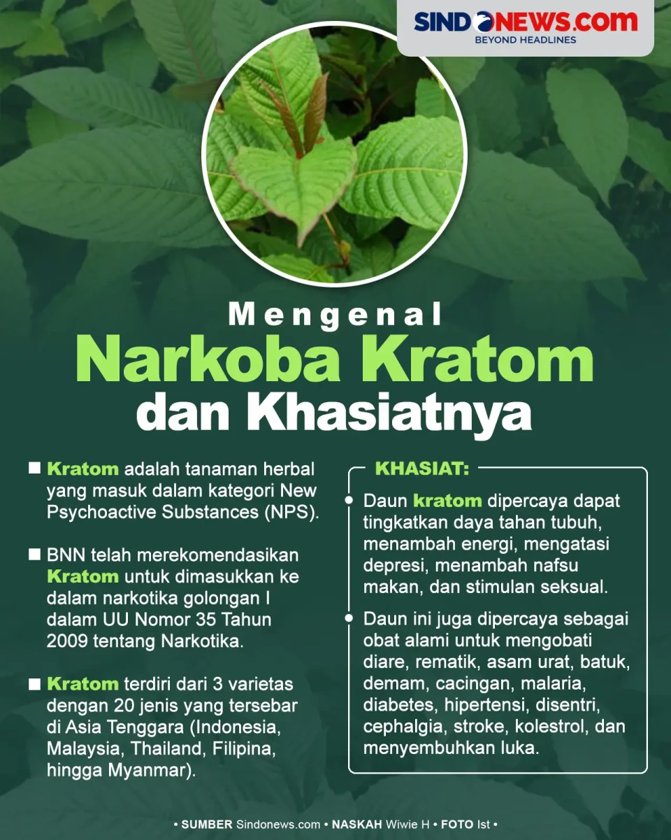 Mengenal Tanaman Narkoba...