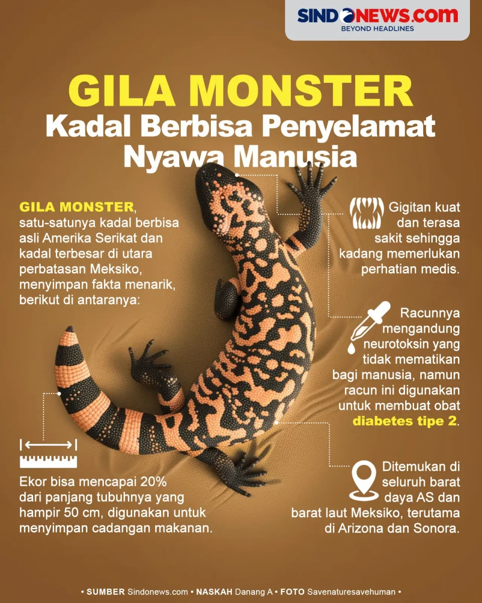Gila Monster, Kadal...