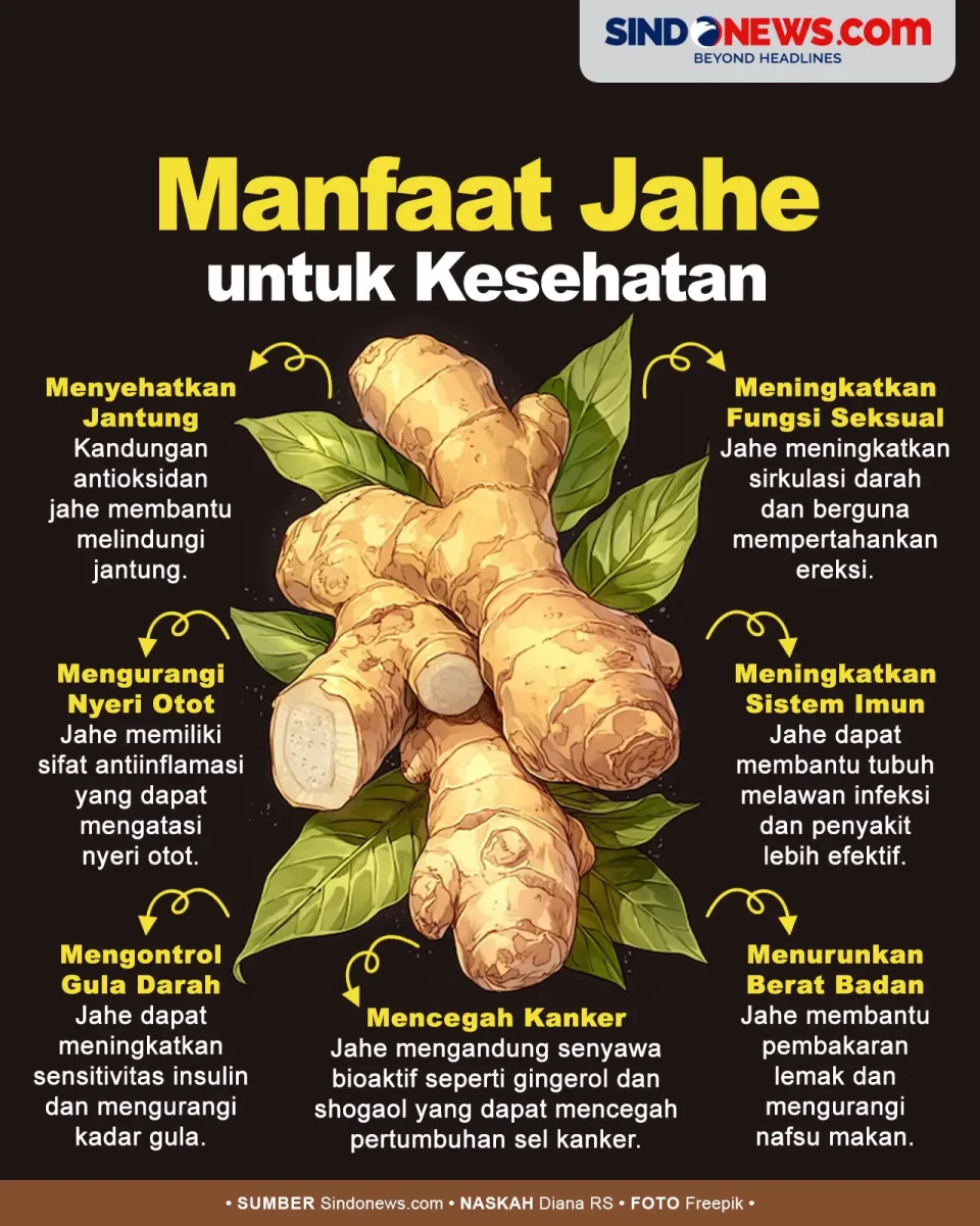 Bisa Meningkatkan Fungsi...