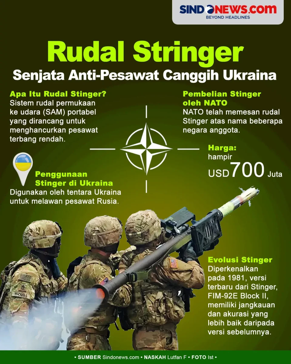 Rudal Stinger, Senjata...