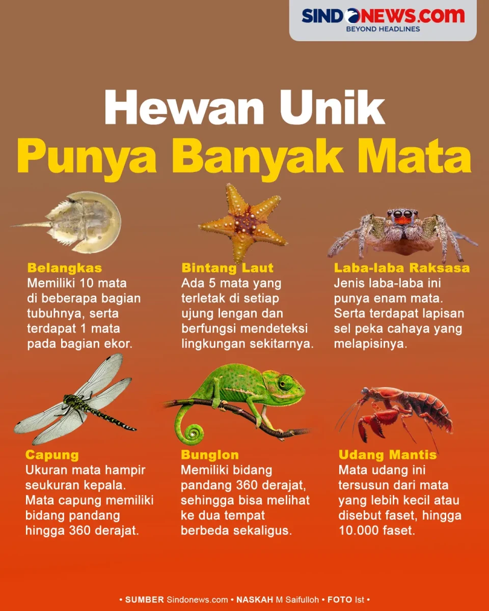 Ada yang sampai 10 Ribu,...