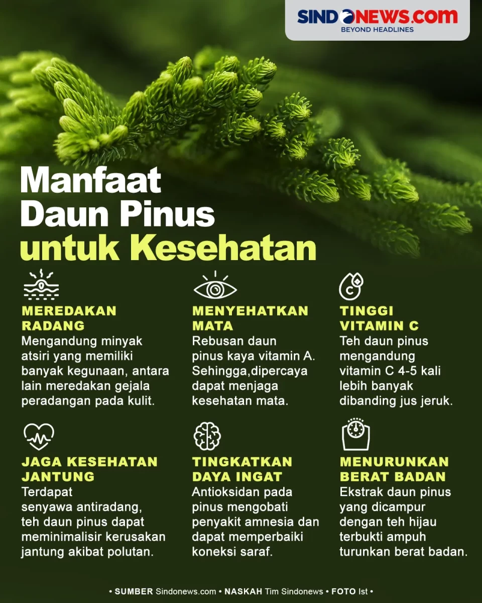 Jarang Diketahui, Berikut...
