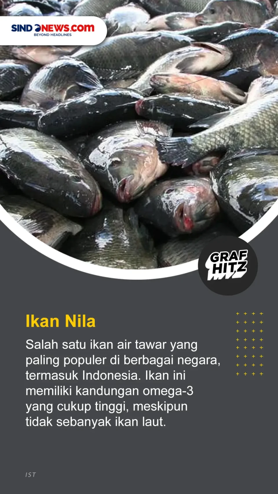 5 Ikan Air Tawar yang...