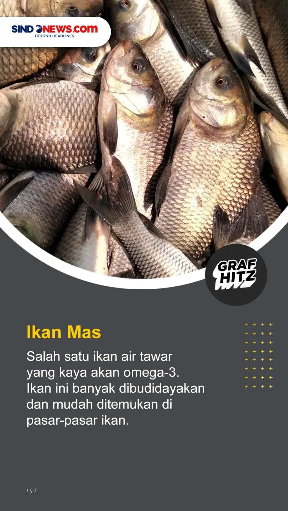 5 Ikan Air Tawar yang...