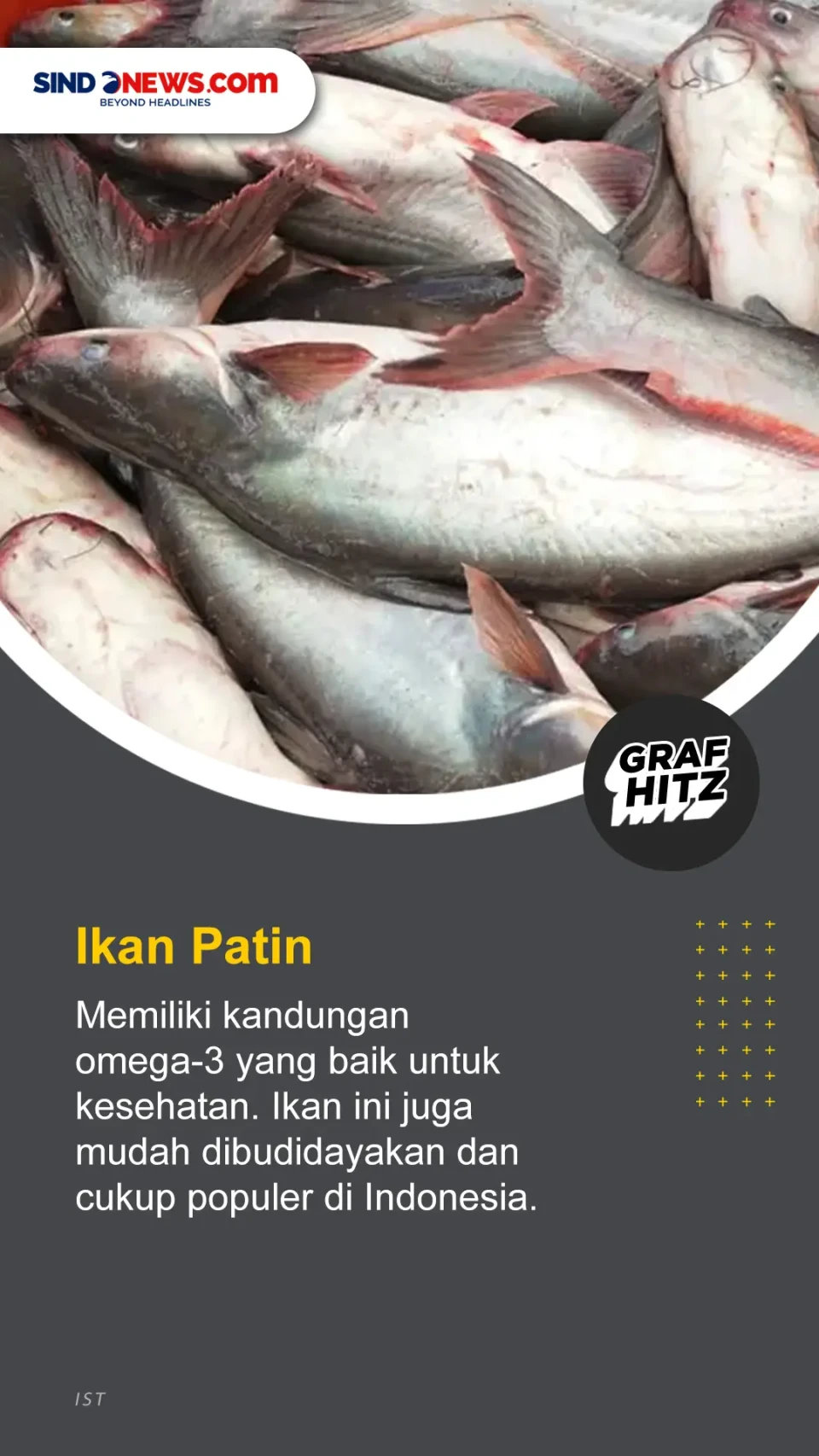 5 Ikan Air Tawar yang...