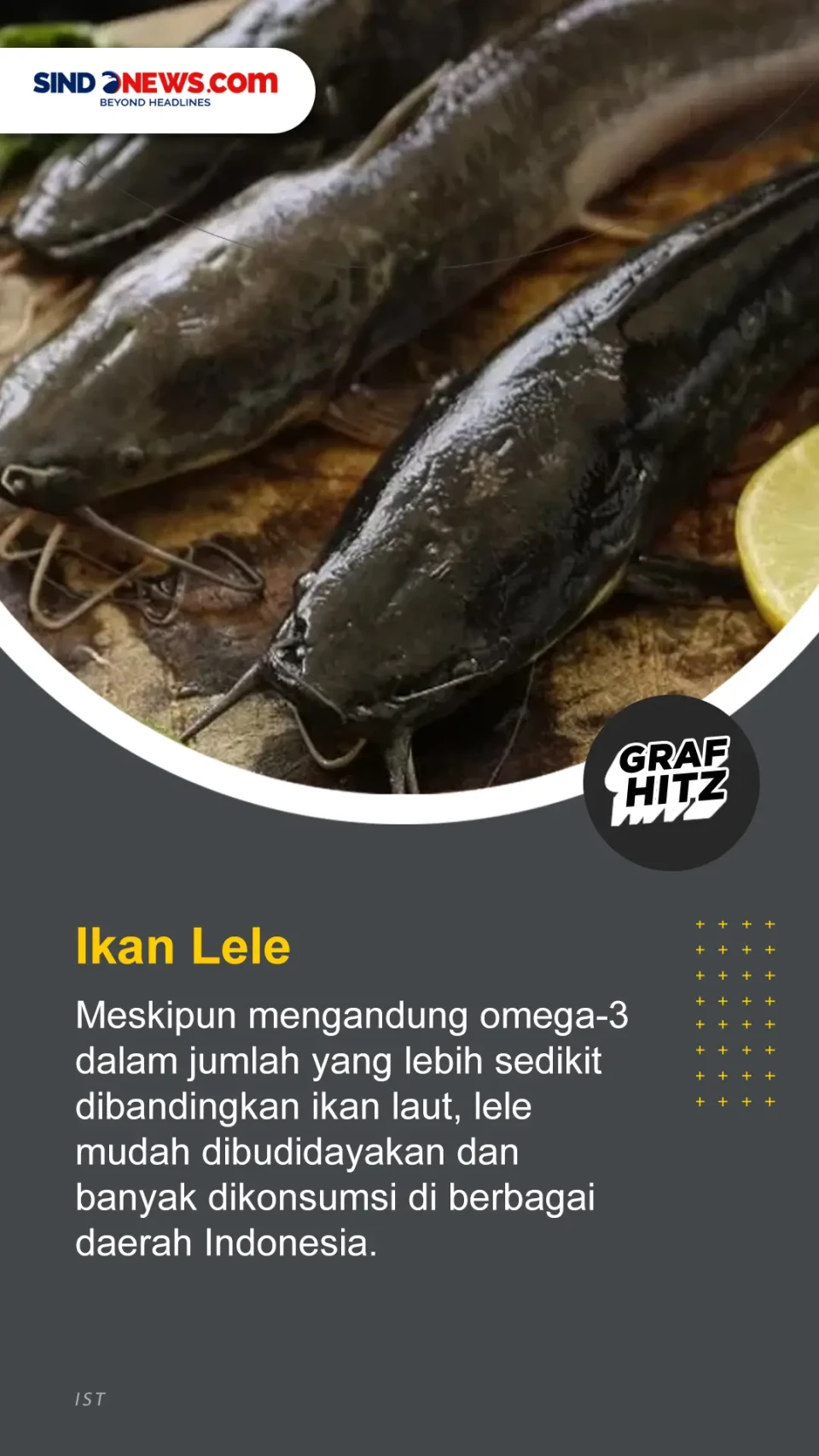 5 Ikan Air Tawar yang...