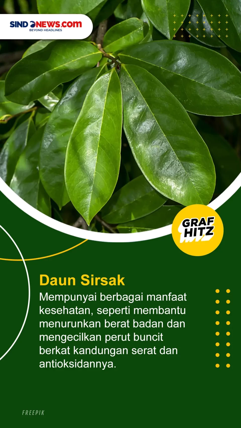 5 Jenis Daun yang Paling...