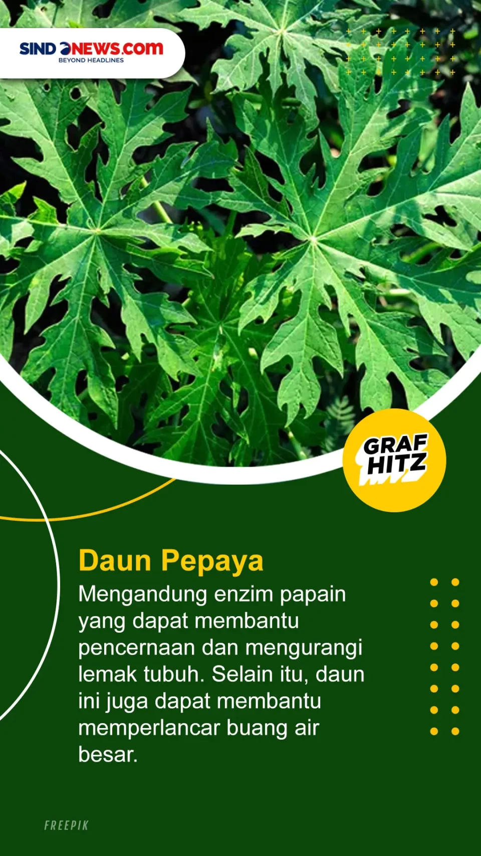 5 Jenis Daun yang Paling...