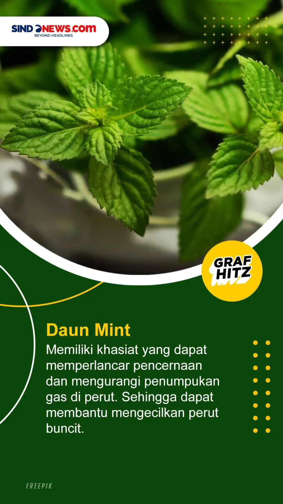 5 Jenis Daun yang Paling...