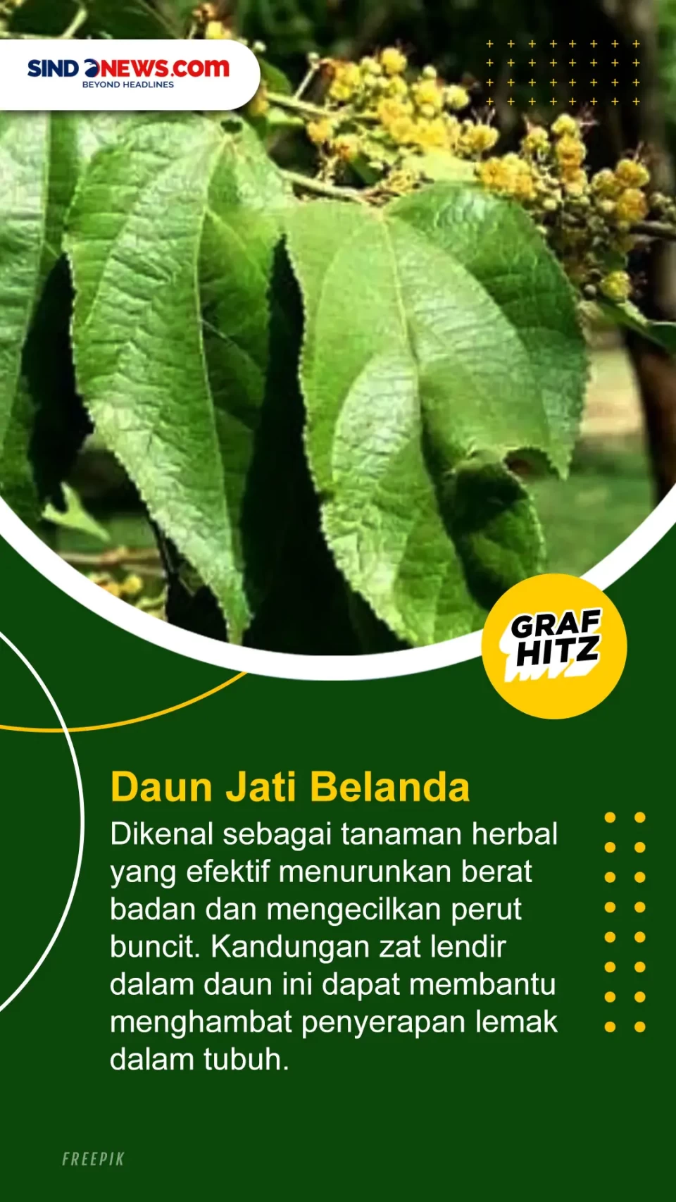 5 Jenis Daun yang Paling...