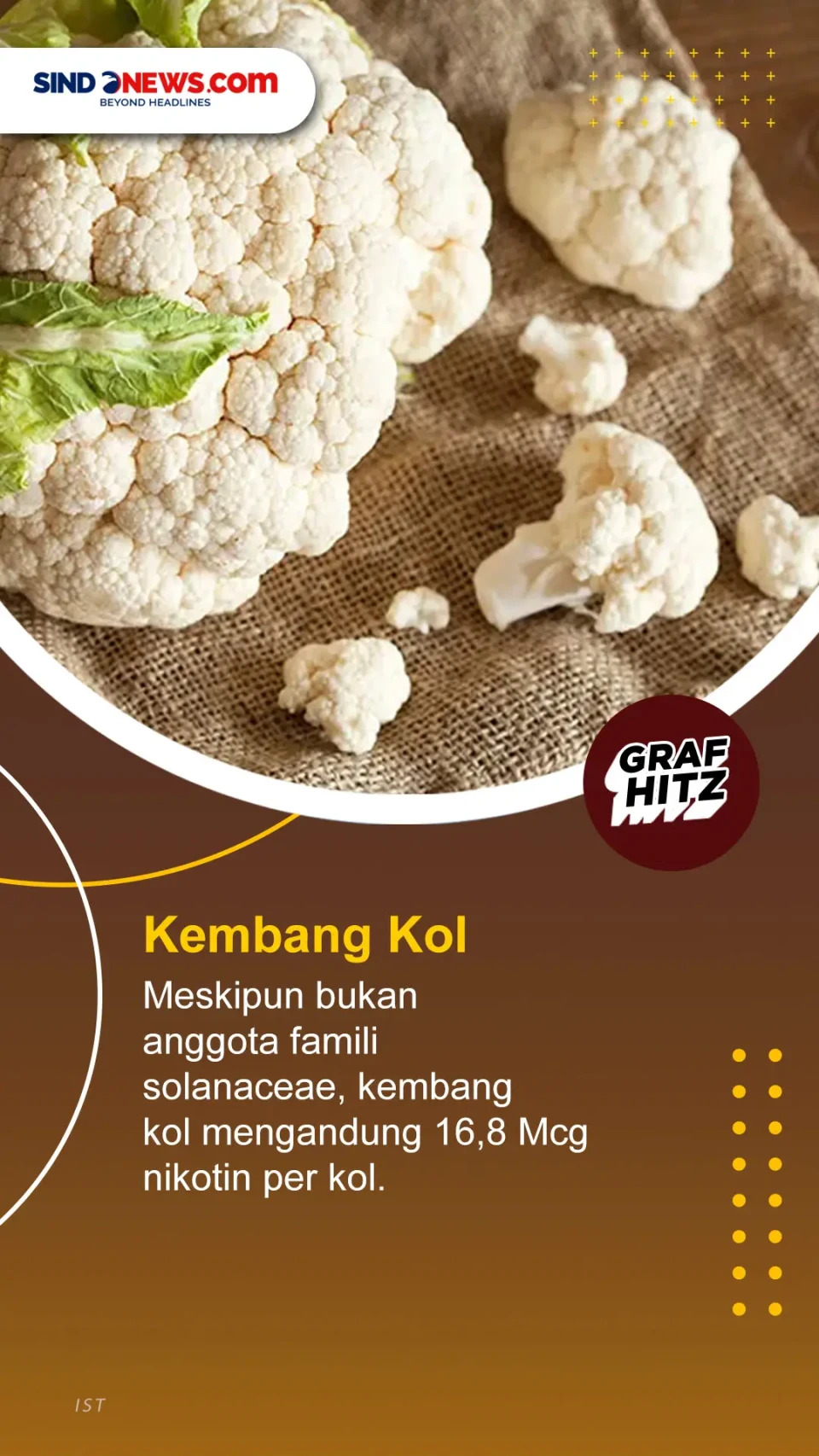 Jarang Diketahui, Berikut...