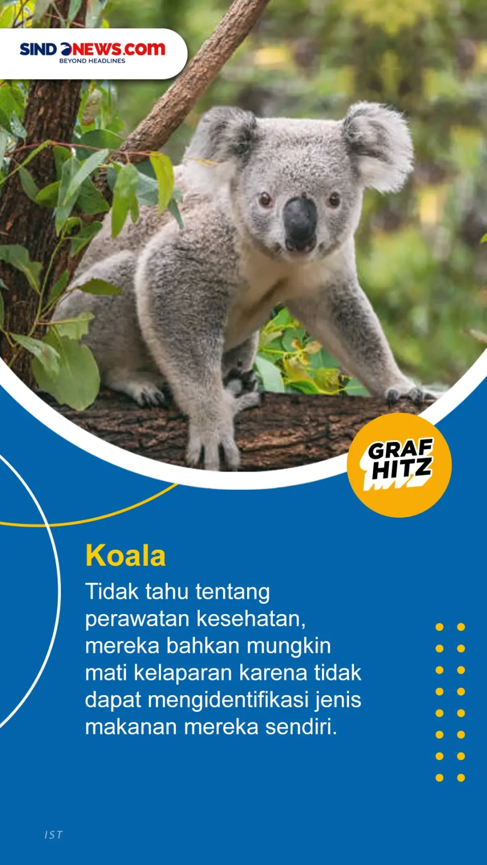Salah Satunya Keledai,...