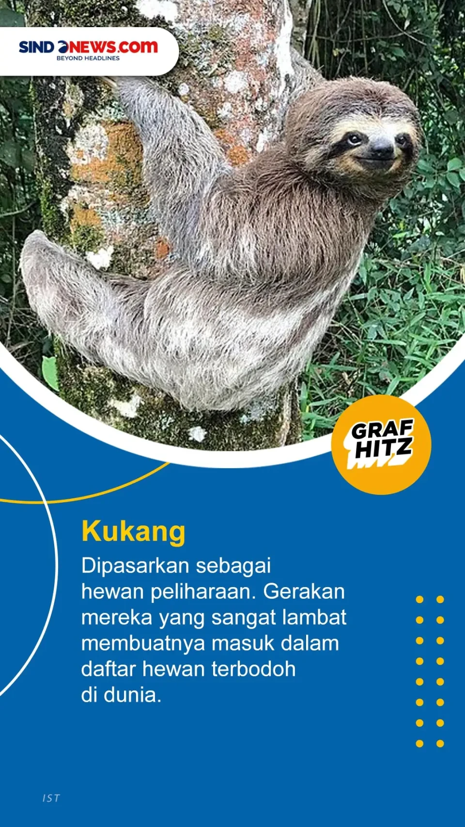 Salah Satunya Keledai,...
