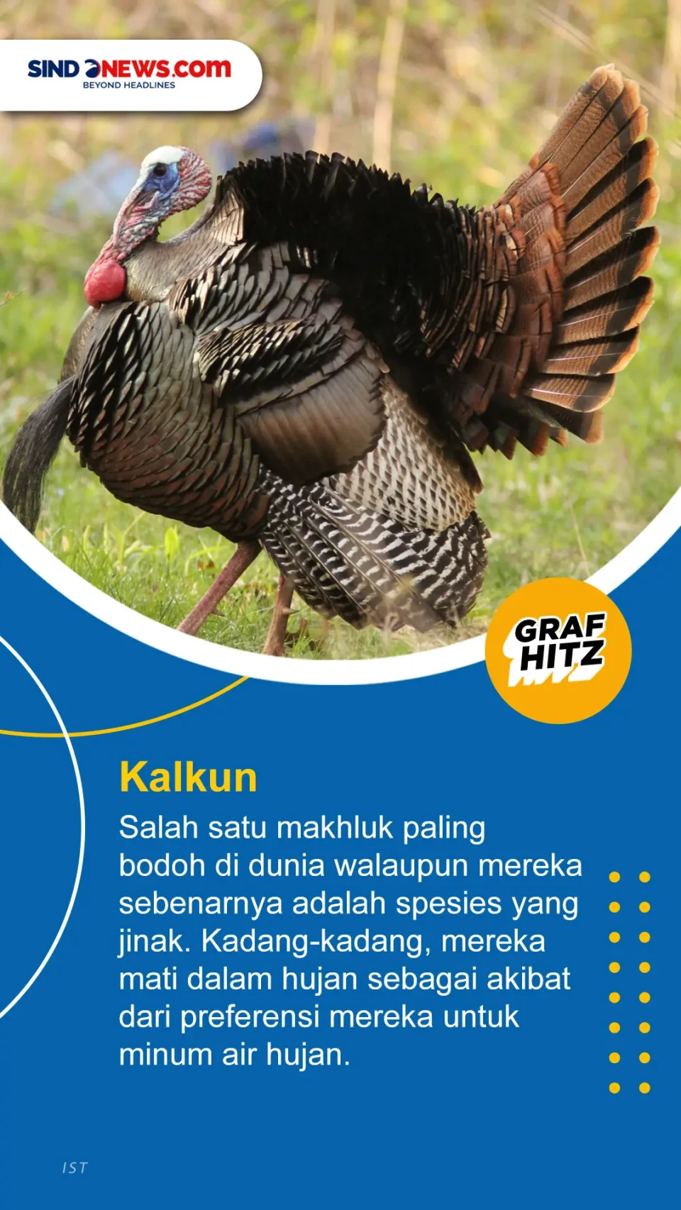 Salah Satunya Keledai,...