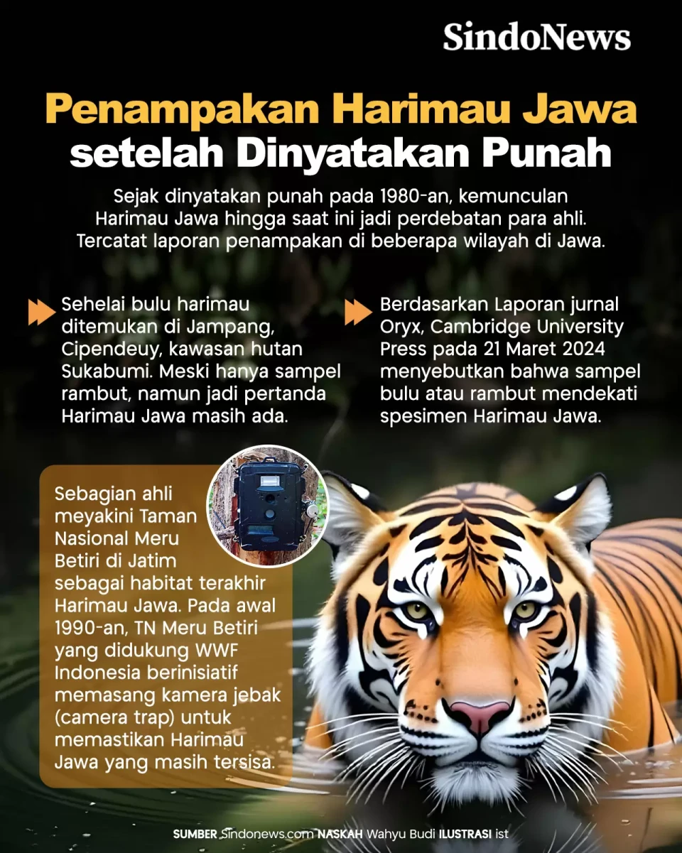 Penampakan Harimau Jawa...