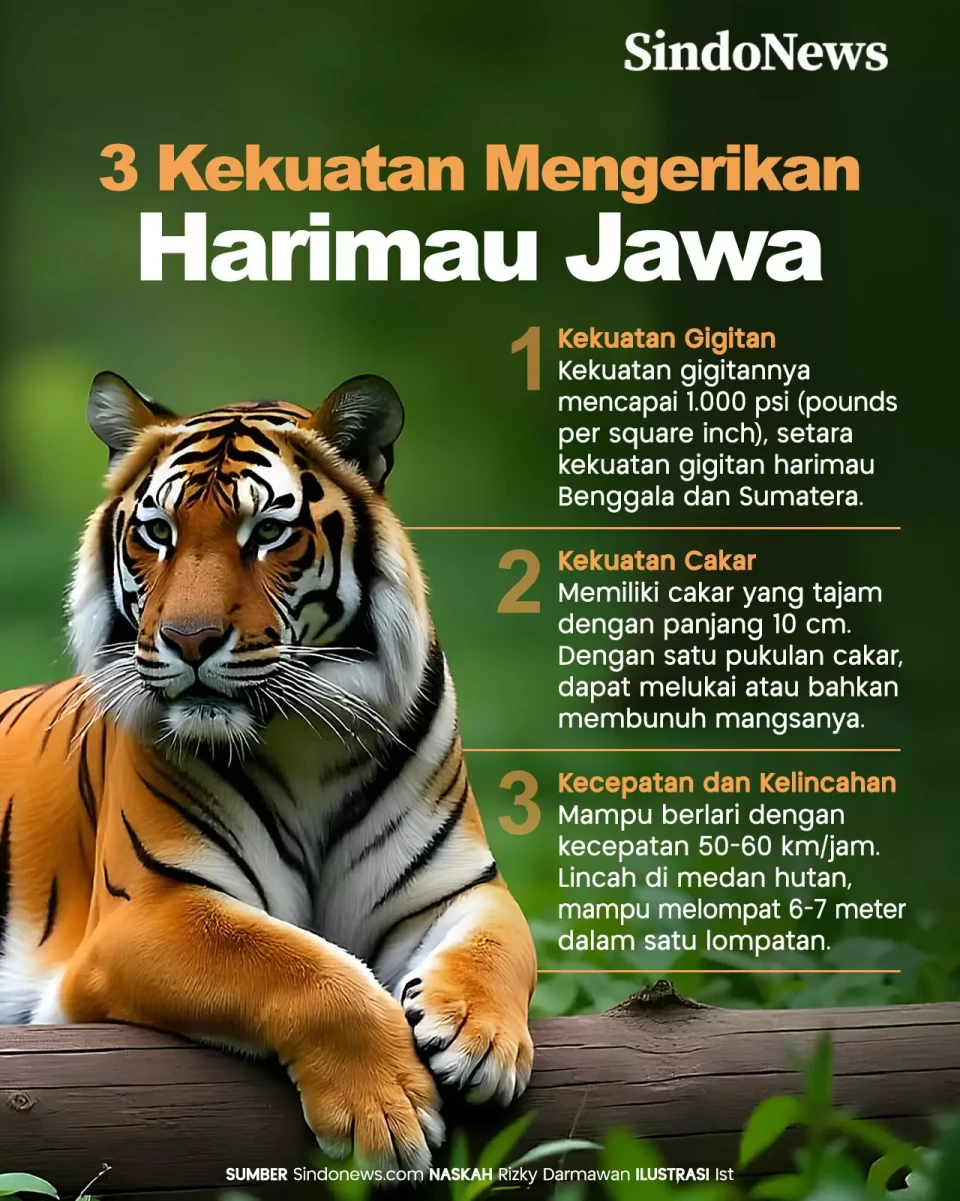 3 Kekuatan Mengerikan...