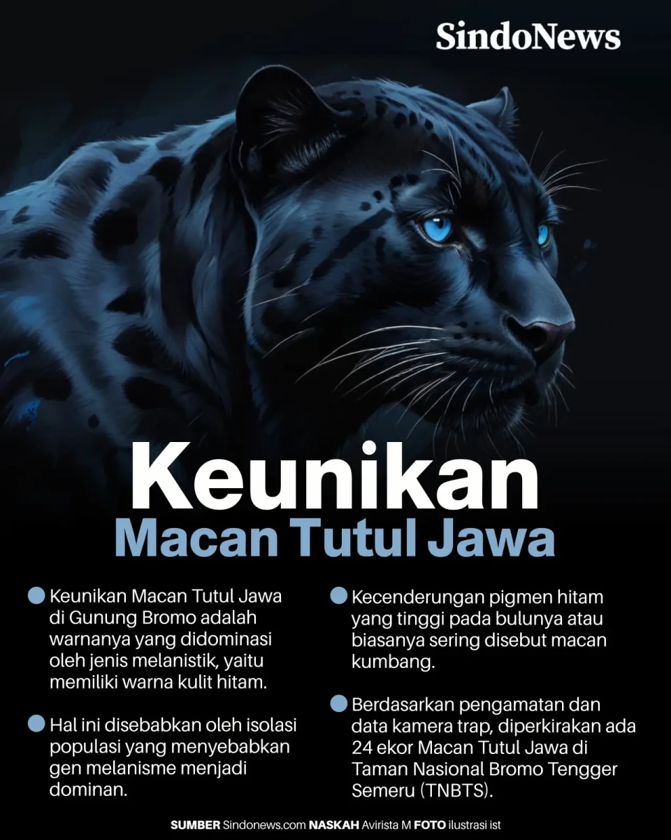 Keunikan Macan Tutul...